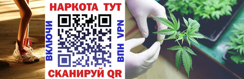 Купить наркотики цена Великий Устюг Марихуана  АМФ  КОКАИН  ГАШИШ  Меф  Alpha-PVP 