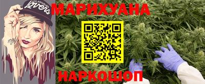 индика Нальчик