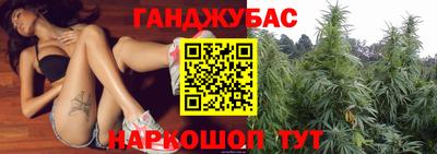 индика Нальчик