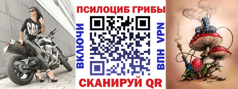 как найти закладки Великий Устюг Галлюциногенные грибы прущие грибы