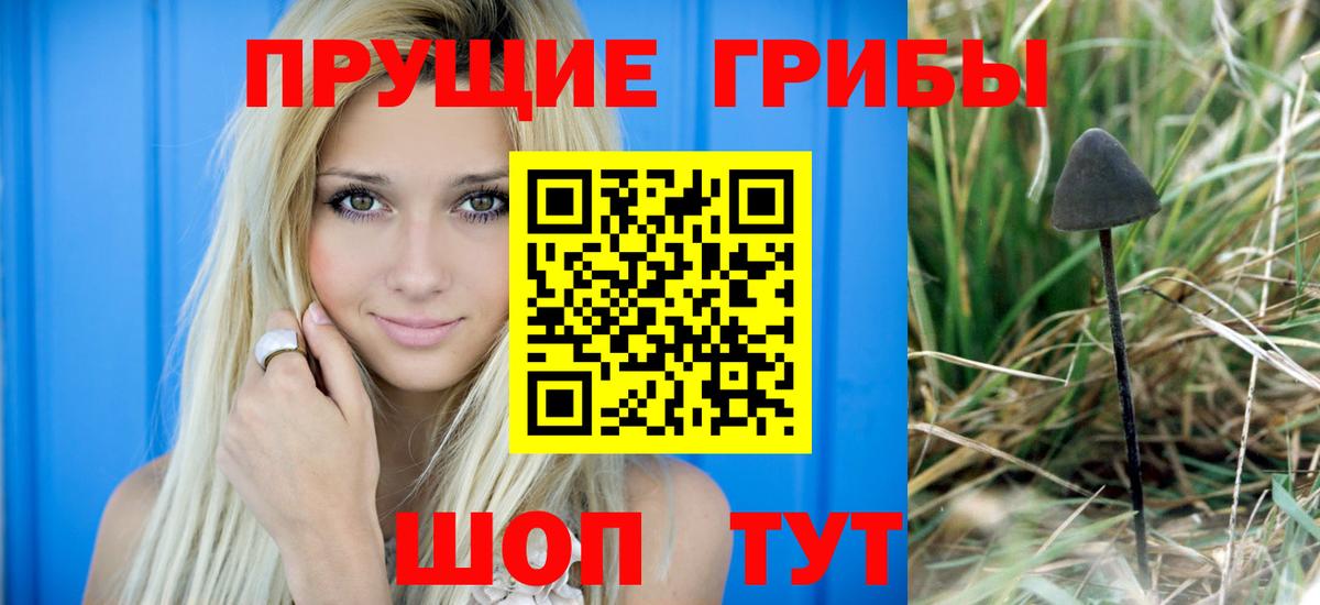 Галлюциногенные грибы MAGIC MUSHROOMS Великий Устюг
