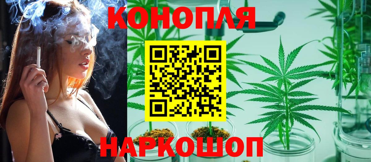 Бошки Шишки SATIVA & INDICA  Вход с VPN  Бошки Шишки ГИДРОПОН  Великий Устюг 